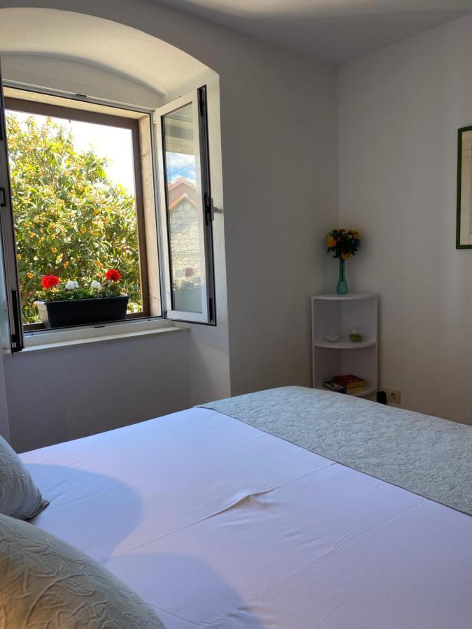 Apartmán Mediterano - Center *