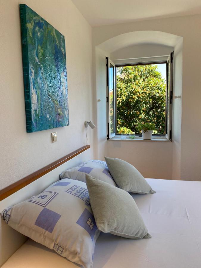 Apartmán Mediterano - Center