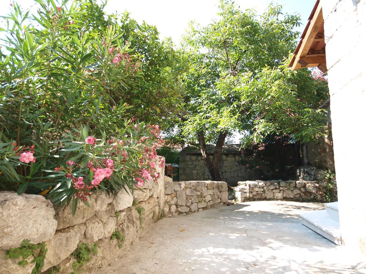 Mediterano - Center Apartmán *